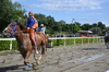 Immagine <b>REG_9278</b>